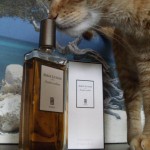 J’ai testé pour vous… Ambre Sultan de Serge Lutens