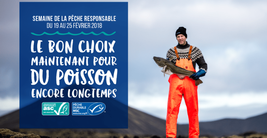 Préservation des océans : on en parle pour la semaine de la pêche responsable !