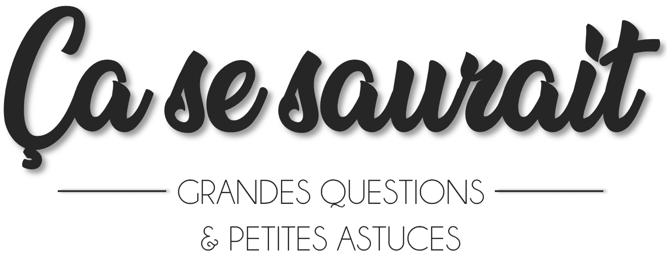 Ca se saurait - Grandes questions et petites astuces